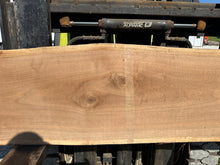 Load image into Gallery viewer, SLB-BW-013 Walnut Slab