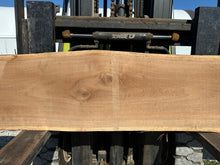 Load image into Gallery viewer, SLB-BW-013 Walnut Slab