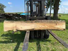 Load image into Gallery viewer, SLB-ASH-001 Ash Slab