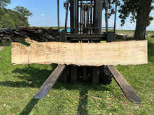 Load image into Gallery viewer, SLB-ASH-001 Ash Slab