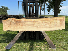 Load image into Gallery viewer, SLB-ASH-002 Ash Slab