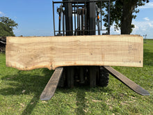 Load image into Gallery viewer, SLB-ASH-004 Ash Slab