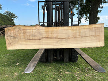 Load image into Gallery viewer, SLB-ASH-004 Ash Slab