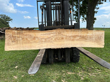 Load image into Gallery viewer, SLB-ASH-005 Ash Slab (Discounted)