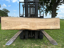 Load image into Gallery viewer, SLB-ASH-006 Ash Slab (Discounted)