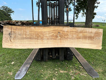 Load image into Gallery viewer, SLB-ASH-006 Ash Slab (Discounted)