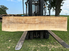Load image into Gallery viewer, SLB-ASH-007 Ash Slab (Discounted)