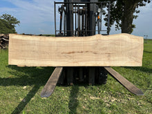 Load image into Gallery viewer, SLB-ASH-008 Ash Slab (Discounted)