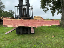 Load image into Gallery viewer, SLB-ERC-002 Eastern Red Cedar Slab