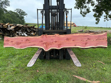 Load image into Gallery viewer, SLB-ERC-003 Eastern Red Cedar Slab