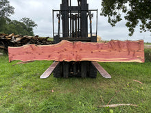 Load image into Gallery viewer, SLB-ERC-003 Eastern Red Cedar Slab