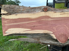 Load image into Gallery viewer, SLB-ERC-004 Eastern Red Cedar Slab