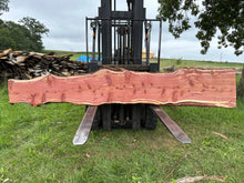 Load image into Gallery viewer, SLB-ERC-005 Eastern Red Cedar Slab