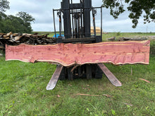 Load image into Gallery viewer, SLB-ERC-005 Eastern Red Cedar Slab