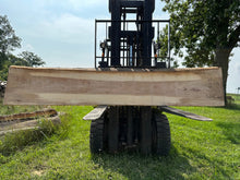 Load image into Gallery viewer, SLB-PC-003 Pecan Slab
