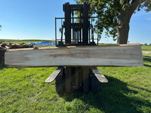 Load image into Gallery viewer, SLB-PC-010 Pecan Slab