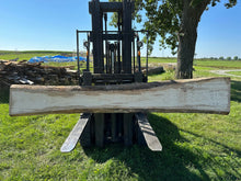 Load image into Gallery viewer, SLB-PC-013 Pecan Slab