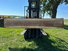 Load image into Gallery viewer, SLB-PC-015 Pecan Slab