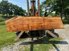Load image into Gallery viewer, SLB-QSWO-001 Quarter-Sawn White Oak Slab