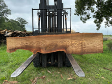 Load image into Gallery viewer, SLB-RE-001 Red Elm Slab