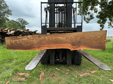 Load image into Gallery viewer, SLB-RE-003 Red Elm Slab