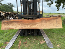 Load image into Gallery viewer, SLB-RE-004 Red Elm Slab