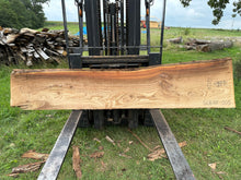 Load image into Gallery viewer, SLB-RE-005 Red Elm Slab