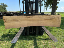 Load image into Gallery viewer, SLB-RE-011 Red Elm Slab