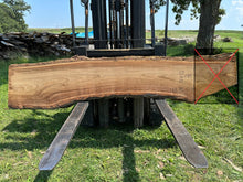 Load image into Gallery viewer, SLB-RE-013 Red Elm Slab