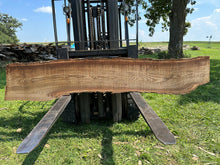 Load image into Gallery viewer, SLB-RE-014 Red Elm Slab