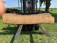 Load image into Gallery viewer, SLB-RE-015 Red Elm Slab
