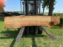 Load image into Gallery viewer, SLB-RE-016 Red Elm Slab