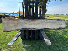Load image into Gallery viewer, SLB-SPM-001 Spalted Maple Slab