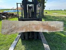 Load image into Gallery viewer, SLB-SPM-001 Spalted Maple Slab