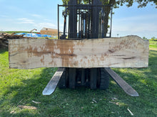 Load image into Gallery viewer, SLB-SPM-003 Spalted Maple Slab