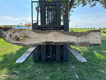 Load image into Gallery viewer, SLB-SPM-004 Spalted Maple Slab