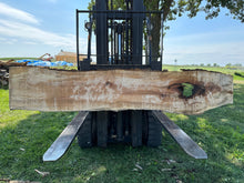 Load image into Gallery viewer, SLB-SPM-005 Spalted Maple Slab