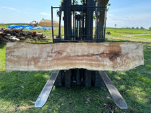 Load image into Gallery viewer, SLB-SPM-006 Spalted Maple Slab