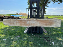 Load image into Gallery viewer, SLB-SPM-008 Spalted Maple Slab