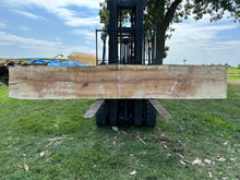 Load image into Gallery viewer, SLB-SPM-010 Spalted Maple Slab