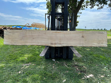 Load image into Gallery viewer, SLB-SPM-010 Spalted Maple Slab