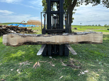 Load image into Gallery viewer, SLB-SPM-011 Spalted Maple Slab