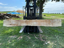 Load image into Gallery viewer, SLB-SPM-011 Spalted Maple Slab