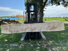 Load image into Gallery viewer, SLB-SPM-012 Spalted Maple Slab