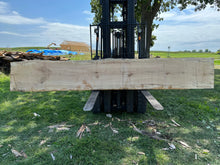 Load image into Gallery viewer, SLB-SPM-013 Spalted Maple Slab
