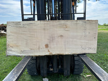 Load image into Gallery viewer, SLB-SPM-015 Spalted Maple Slab