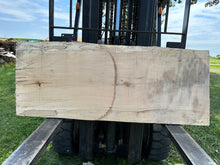 Load image into Gallery viewer, SLB-SPM-015 Spalted Maple Slab