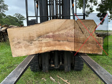 Load image into Gallery viewer, SLB-WO-004 White Oak Slab