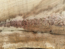 Load image into Gallery viewer, SLB-WO-004 White Oak Slab