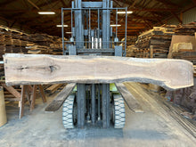Load image into Gallery viewer, SLB-BW-004 Walnut Slab